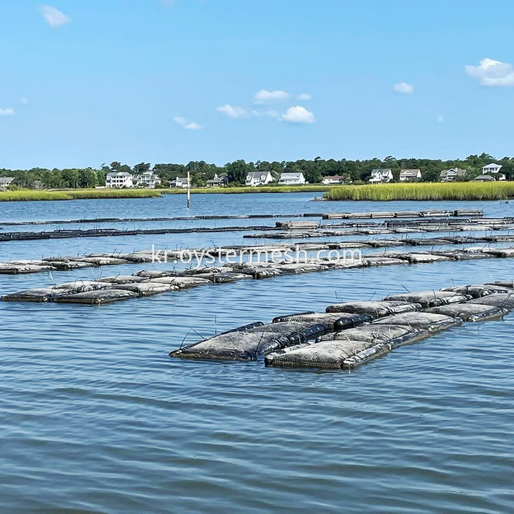떠 다니는 굴 케이지 Floating Oyster Cage